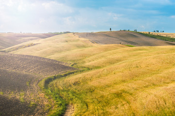 Fields and peace in the warm sun of Tuscany, Italy