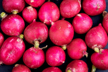 Fresh organic red radish background