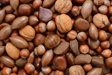 Mixed nuts - chestnuts, pecans, walnuts, brazils and hazelnuts