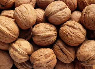 Heap of walnuts