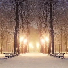 Cercles muraux Hiver Sentier dans un fabuleux parc de la ville d& 39 hiver