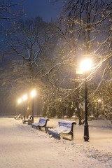 Footpath in a fabulous winter city park