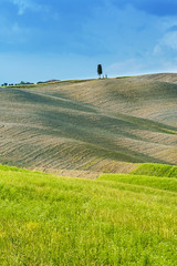 Fields and peace in the warm sun of Tuscany, Italy