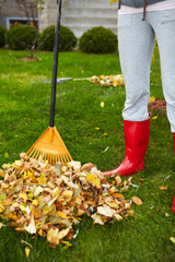Fall leaves with rake