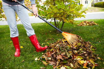 Fall leaves with rake