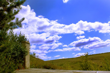 Fototapeta premium Beautiful summer landscape-horizon line between