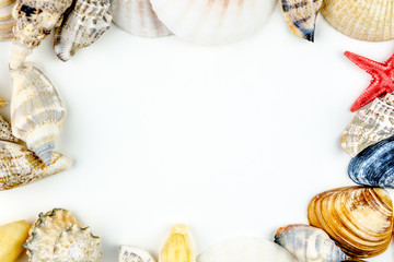 abstract background made of shells white background