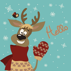 Reindeer says hello