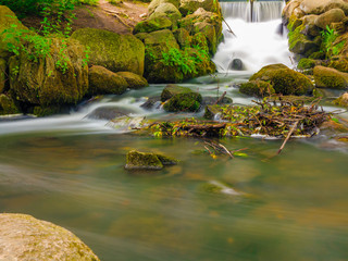 waterfall in woods green forest. stream in oliva park gdansk. © Voyagerix