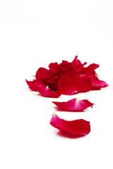 red rose petals, isolated on white
