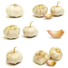 Collections of Garlic isolated on white background