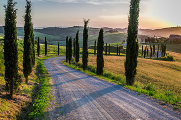 Sunset and winding road with cypresses in Tuscany