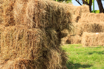 haystack in field