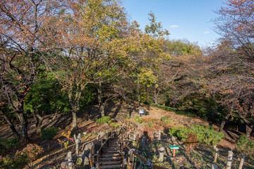 箱根山