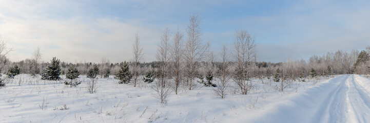 winter landscape
