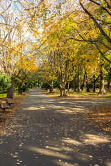 Fototapeta premium Park Toyama