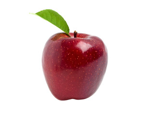 Red apple on white background