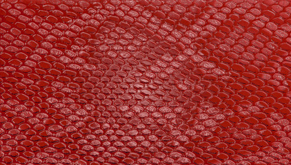 Red snake skin texture background