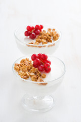 creamy panna cotta with granola and berries on a white wood