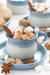 cups of cocoa with marshmallows and cinnamon