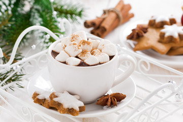 spicy hot chocolate with marshmallows