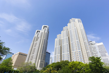 新緑と青空の東京都庁と新宿高層ビル街