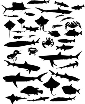 large set of fish silhouettes isolated on white