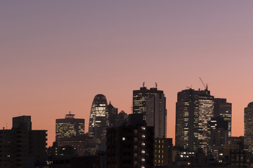 Fototapeta na wymiar 夕陽でシルエットになった新宿高層ビル群