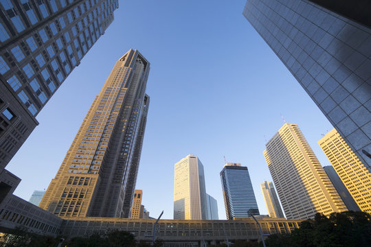 夕景の東京都庁と　新宿高層ビル街を見上げる