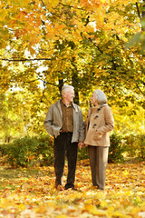 Couple in autumn park