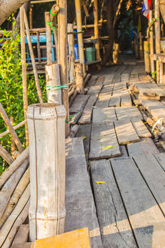 Bamboo poles