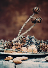Christmas Tray with Natural Pine cones and Walnuts, toned