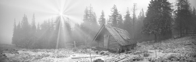 Shepherd huts in a misty forest