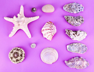 Sea souvenirs on purple background