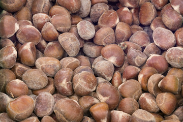 a lot of chestnuts