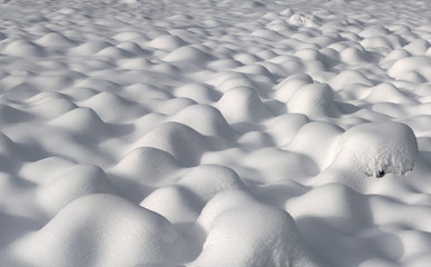 Obraz premium Alpine is the climate