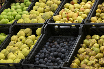 Fruits and vegetables