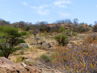 Landschaft nahe Gorofani Mangola Tansania Afrika