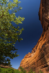 Chelly Canyon in Arizona, USA