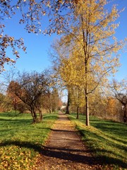Park im Herbst
