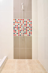 Bathroom Shower with designed tiles