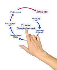 Career Development