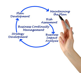 Business Continuity Management Steps