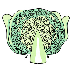 Naklejka premium cabbage maze. vector illustration
