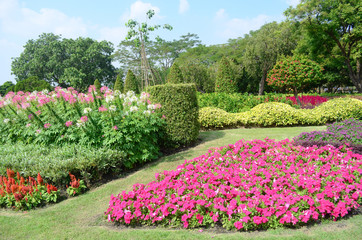 Flower garden  of Thailand