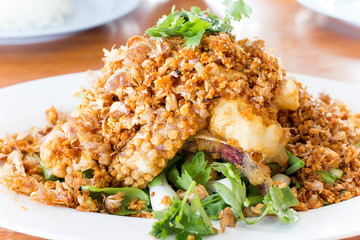 Fried squid with garlic seafood apertizer