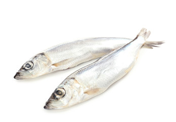 Fresh fish isolated on white