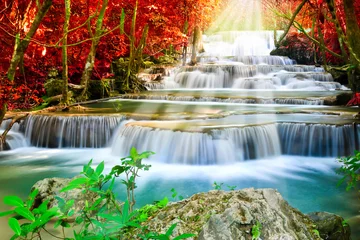 Poster de jardin Cascades Belle cascade dans la forêt d& 39 automne