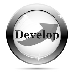 Develop icon