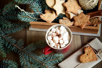Сocoa with marshmallows and gingerbread on wooden background